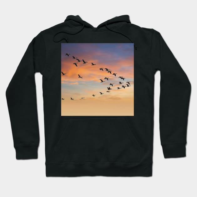 Birds Flying In V Formation Hoodie by KathyG'sArt